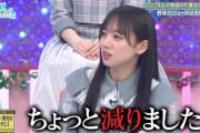 【日向坂46】『ひなあい』トーク回が一番面白い説。