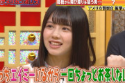 日向坂46のべみほこと渡邉美穂さんって昔のみゃおにそっくりすぎない？