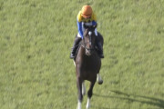 【競馬】有馬記念８着ヴェロックスは川田騎手で小倉大賞典へ