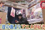【画像】「三度の飯よりアニメ好き」なオタクの部屋をご覧くださいｗｗｗｗｗｗ