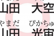 「光宙」を「ピカチュウ」、戸籍記載「キラキラネーム」容認へ…法制審中間試案