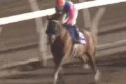 【地方競馬】門別移籍初戦で5着に終わった怪物ナムラビクターさんが赤レンガ記念に出走するぞ！！！！