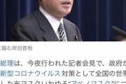 【悲報】岸田「アベノマスク捨てるわｗｗ」→ヤフコメ発狂　12000コメントオーバー