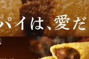 【画像】マクドのビーフシチューパイが?すぎると話題に