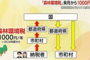 「森林環境税」6月から1人年額1000円徴収　森林整備目的の交付金4割使われず…「無駄増やしてほしくない」厳しい意見も