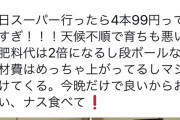 【緊急】ナス農家「お願い！ナス食べて―――!!!　ナス食べて―――!!!　ナス食べて―――!!!」