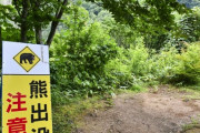 「山菜採りに行く」 男性の遺体が山で見つかる　クマに襲われたか