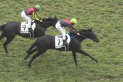 【競馬】武豊さん、今週17鞍乗って0勝