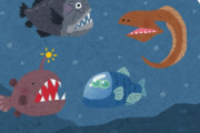 深海魚って毎日つまんなそう