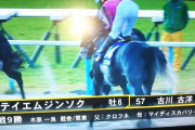 瀧川寿希也元騎手「ふざけた回答だったら1つ爆弾投下するよ。吉田知事に」