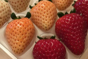 外国人「さすが日本だな」3種類の色のイチゴに海外興味津々