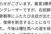 【競馬】G1レーシング、ルヴァンスレーヴに続きサングレーザーも故障引退