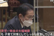 「50万円でも足りない」「出産してからが子育てのスタート」出産育児一時金引き上げで調整でも、出産控える夫婦からは不安の声　日本の出産・子育て支援の課題