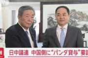 【速報】中国にパンダ貸与を要請　自民・森山裕幹事長「パンダが日本国民の皆さんに愛されている」