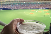 韓国人「日本の野球場でビールを売る女の子が可愛すぎる件」
