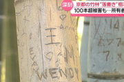 【害人】京都の竹林で落書き相次ぐ、被害100本以上…「思い出は竹ではなく心に」所有者の願い