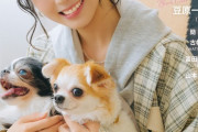 【AKB48】佐藤綺星、10/15(水)発売『月刊わんこ 11月号』に愛犬と登場🐶