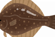 【画像】めちゃくちゃ珍しい色のヒラメが水揚げされた模様ｗｗｗｗ