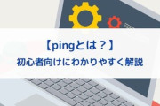 ワイ「このサーバーピング（ping）悪すぎだろ・・・」トッモ「ピングじゃなくて“ピン”な」