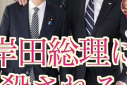 【悲報】TikTokキッズ、「岸田総理にころされる」という地獄みたいな曲を流行らせてしまうｗｗｗｗｗ