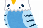 【画像】インコねてる