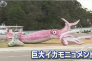 【石川】コロナ対策の臨時交付金2500万円使い巨大イカのモニュメント設置ｗｗｗｗｗｗｗｗｗｗｗｗｗｗｗｗｗｗｗｗｗｗｗｗｗ