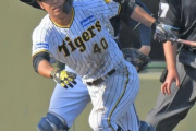 井坪陽生 .395 2本 5打点 出塁率.410 OPS 1.095←なんや無名の新人が打ちまくってしまうwwwwwwww