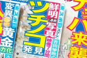 【東スポ】大手マスコミが報道！AKB総選挙復活へ！