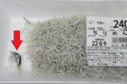 【画像】「ちりめん」にふぐ混入ｗｗｗｗｗｗｗｗ
