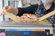 「刷り込みに近い食べ物です」「生ガキを食べる時のほうが緊張します」――鹿児島で「鳥刺し」文化が生き続ける理由