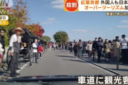 紅葉の京都に観光客が殺到！宿泊料金“倍に値上げ”も…訪日客「それでも安い」