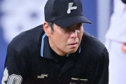 白井審判のファンサｗｗｗｗｗｗ