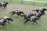 【新潟大賞典】サンレイポケット激戦制しＶ！重賞初制覇