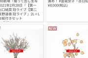 【朗報】NMBオフィシャルショップの盆栽が全品完売する