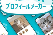 【画像】ネッコのプロフィールが作れるらしい