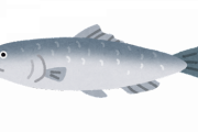 ニシンとかいう汎用性高いけど美味いかと言われるとちょっと微妙な魚
