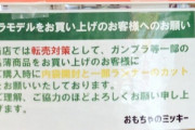 【朗報】おもちゃ屋さん、とんでもない転売屋対策をしてしまう