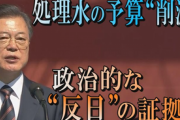 【処理水海洋放出】　韓国が政治的“反日”の証拠か...危機感があれば当然増やすはずの研究費を大幅に削減　[09/10] [荒波φ★]