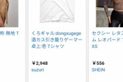 【画像あり】彡(ﾟ)(ﾟ)「ええ服ないかな？せや！GoogleでTシャツって検索したろ！」Google「！(ｼｭﾊﾞﾊﾞ)」
