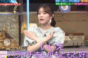 ハライチにはっきりNOを突きつける阪口珠美ちゃんワロタｗ【元乃木坂46】