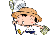 【画像】これカニだと思うじゃん？蜘蛛なんだぜ・・・