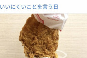 【悲報】モスバーガー、狂う