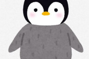 【画像】ペンギンがぺんぺんしてる可愛すぎるこの動画ｗｗｗｗ
