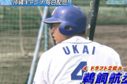 中日ドラ2鵜飼、覚醒した3年以降の成績