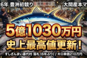 【速報】豊洲マグロ初競り、史上最高値５億１０３０万円「1発でお前らの生涯年収を超える好景気の象徴か」※すしざんまいが落札