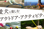 愛犬と秋をまるごと満喫！紅葉・星空・イベントぜんぶ入りガイド