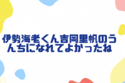 伊勢海老くん吉岡里帆のうんちになれてよかったねの元ネタについて紹介