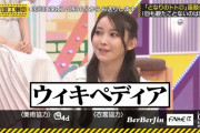 これがWikipediaで調べた再現なの草ｗｗｗ【乃木坂46】