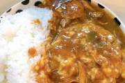 このアチアチ・ハンバーグチキンカレーにいくら出せる？