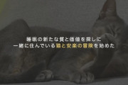 猫の横で毎晩一緒に寝たらどのような影響が出るかを検証→○○に驚きの変化が現れる！！